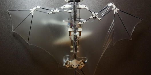 „Bat Robot“ - робот инспириран од лилјак
